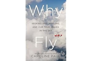 Why Fly: Seeking Awe, Healing, and Our True Selves in the Sky