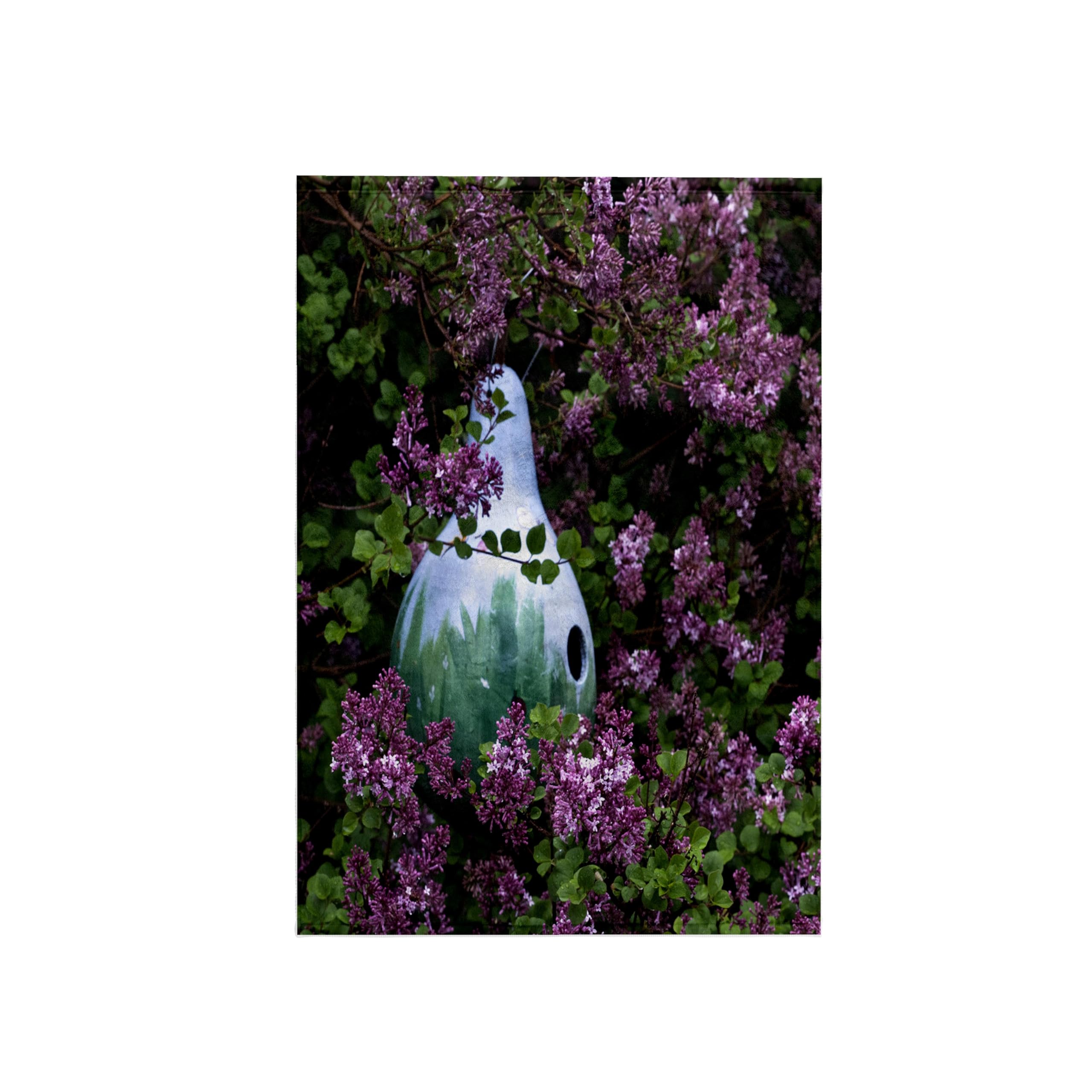 3dRose Pennsylvania/Birdhouse, Lilac Tree, Garden, Us39 Bja0051, Jaynes Gallery Towel, Microfiber, White, 15 x 22-Inch