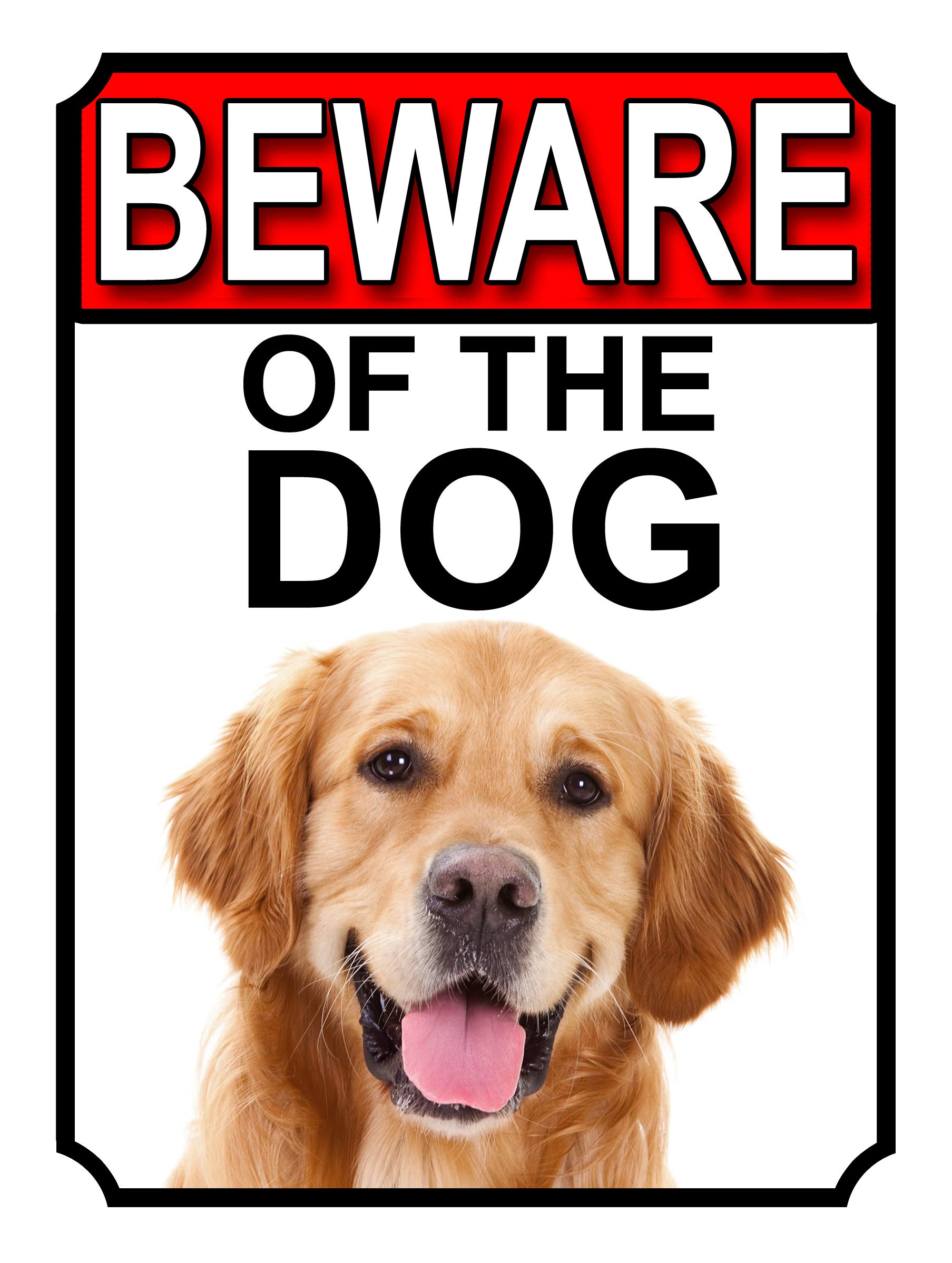 Shawprint Limited BEWARE OF THE DOG METAL GATE SIGN GOLDEN RETRIEVER 200MM X 150MM (1136H1)