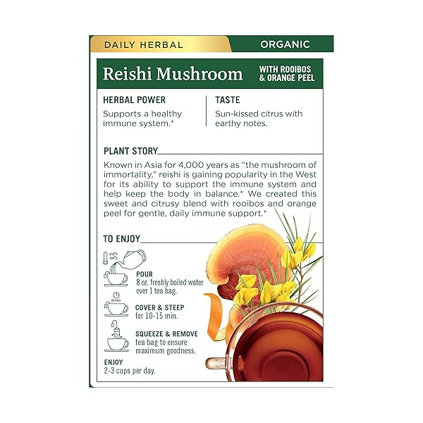 TRADITIONAL MEDICINALS, ORGANIC REISHI MUSHROOM TEA, 16 COUNT