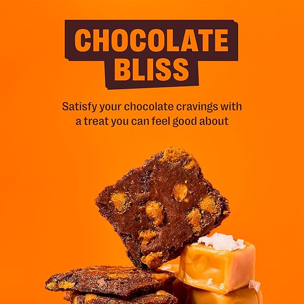 BROWNIE BRITTLE – SALTED CARAMEL THIN AND CRISPY SWEET SNACKS (PACK OF 1, 14 OZ), RICH GOURMET BROWNIE BITES DESSERT