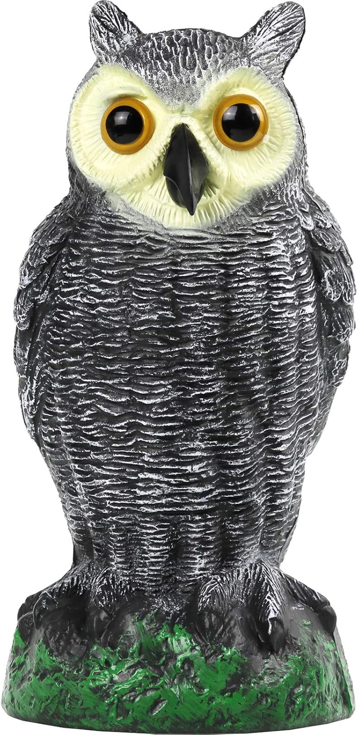 Galashield Owl Decoy to Scare Birds Away Scarecrow Fake Owl