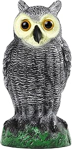 Galashield Owl Decoy to Scare Birds Away Scarecrow Fake Owl