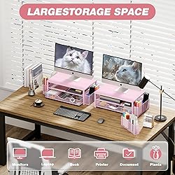 OPNICE Desk Organizers and Accessories, 2-Tier