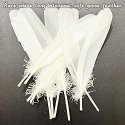 50pcs White Feathers 8~10 in,Beautiful Bulk Long