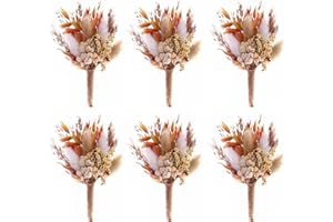 BONSION Natural Dried Flowers Boutonniere for Men Wedding Set of 6, Boho Wedding Groom and Groomsmen Boutonniere for Wedding Ceremony Anniversary, Formal Dinner and Fall Vintage Wedding (Orange-01)