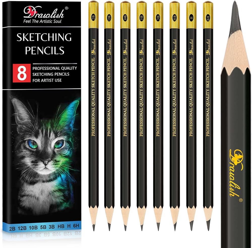 Drawlish 8-12B 6H Sketching Pencils Set of 8-12B to 6H for Artists