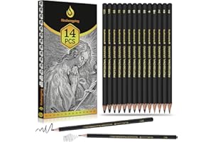 HESHENGPING Sketch Pencils Set for Drawing, 14 Pack Graphite, for Art, Pencil kit for Sketching, Shading, Artist Pencils for Beginners Pro Artists