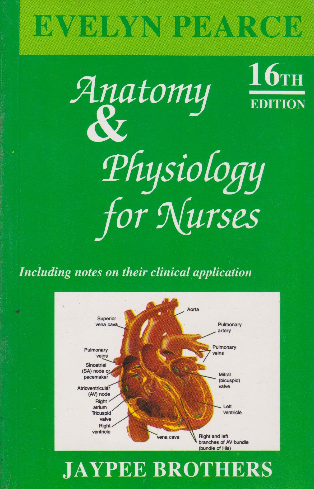 Buy Anatomy And Physiyology For Nurses Including Notes On Their Clinical Application Book Online At Low Prices In India Anatomy And Physiyology For Nurses Including Notes On Their Clinical Application Reviews