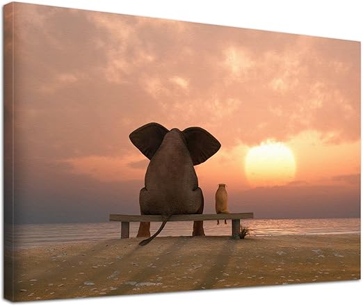 Get Freundschaft tiere HD Freundschaft Tiere