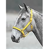 Shires Topaz Leather Breakaway Nylon Headcollar