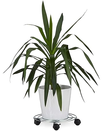 Platillos para plantas | Amazon.es