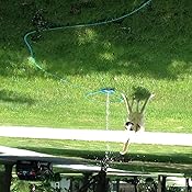 animal planet interactive pet sprinkler