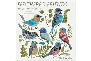 Feathered Friends 2026 Wall Calendar: Watercolor Bird Illustrations