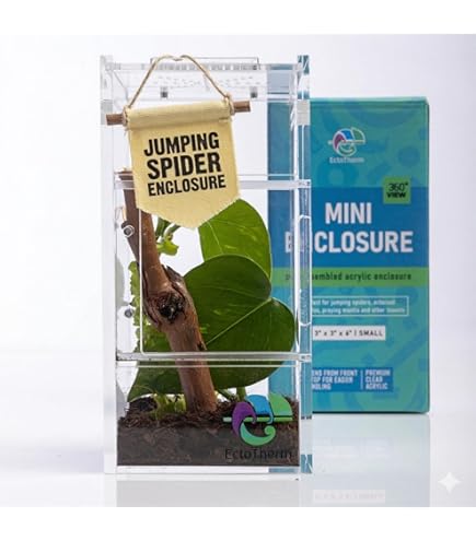 Jumping Spider Enclosure Jumping Spider Habitat, Spider Terrarium Kit, Jumping Spider Behuizing Accessoires, Spider Cage, Bug Terrarium, Insecten Terrarium, Slak Habitat, Boomvogel Tarantula Behuizing