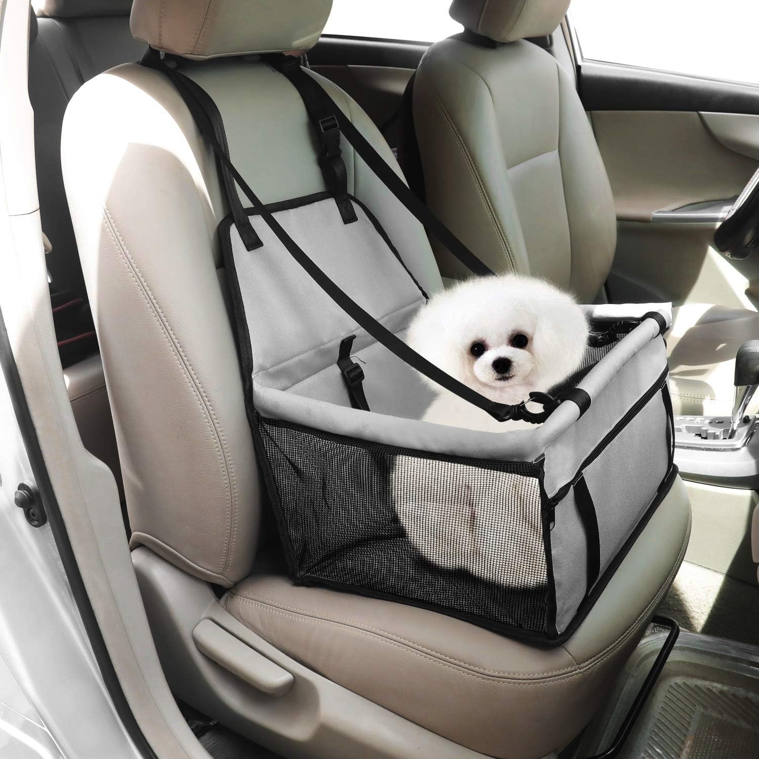 Best Pet Travel Booster Seat