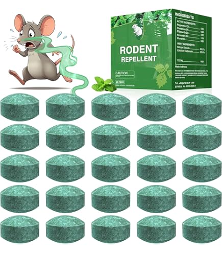 Amazon.com : E-Z Klean Rodent Rat Bait 2 Stations : Other Products