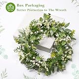 COLORSPEC Eucalyptus Wreath 20 Inch Front Door Decor Green Spring view 4