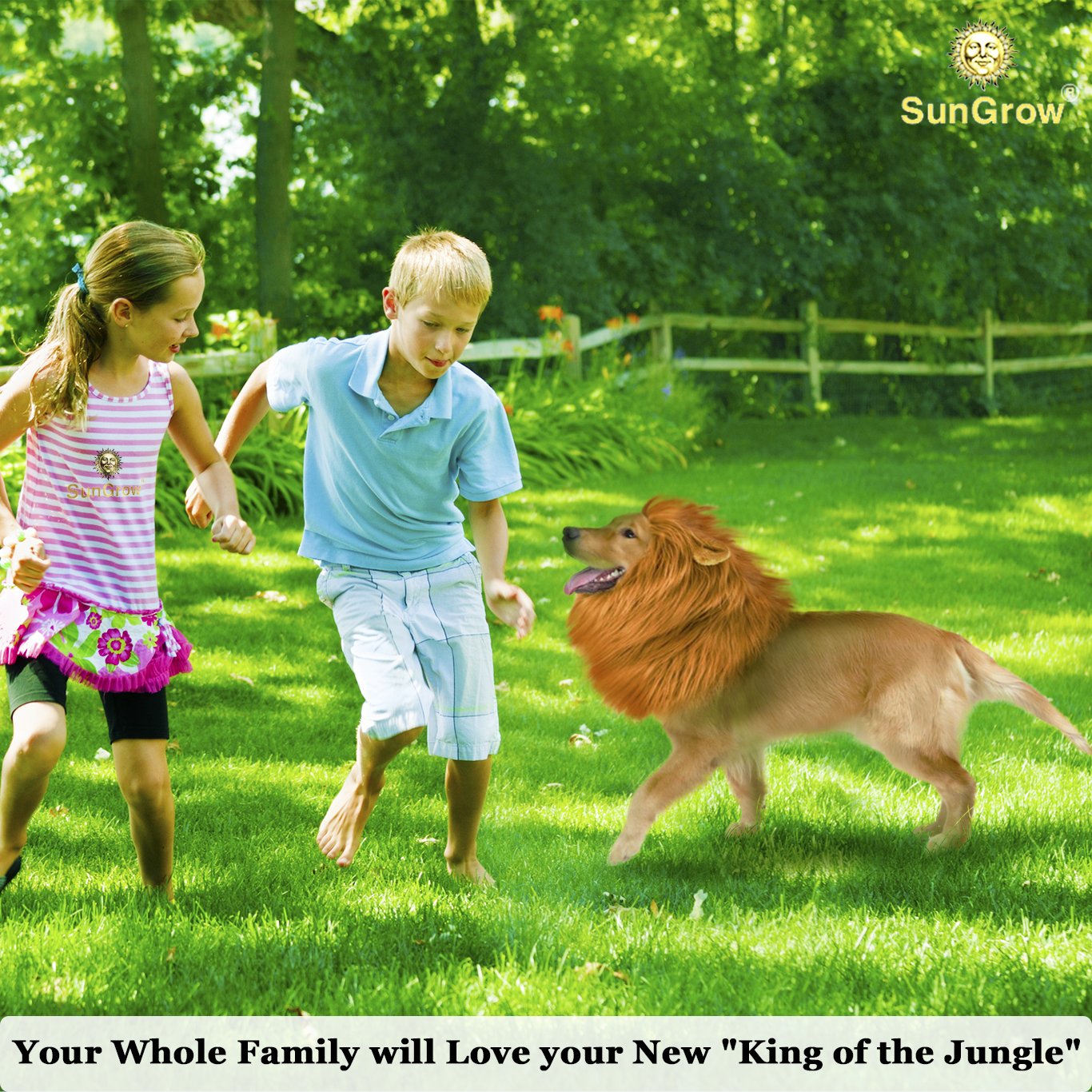 SunGrow Lion Mane Costume with Ears for Big Dogs & Cats: Get your pet dressed up in the cute adorable mane ever! Perfect for Halloween & Costume Parties