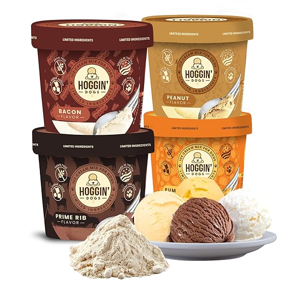 HOGGIN DOGS ICE CREAM MIX – ADD WATER...