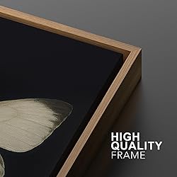 MUDECOR Framed Canvas Print Wall Art Set Butterfly