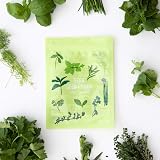 Scott&Co Herb Seed Variety Pack UK Planting Basil Chives Parsley Coriander view 4