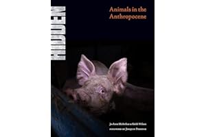 Hidden: Animals in the Anthropocene