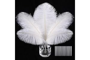 SOGUGOM White Craft Ostrich Feathers - 30PCS 6-8 inch Ostrich Feathers Kit for Centerpieces, Kindergarten Crafts, Hats and DIY Projects(White)