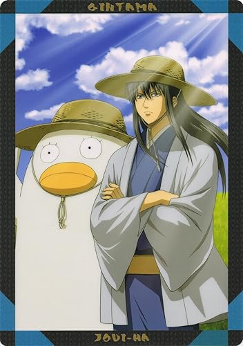 Amazon 銀魂 下敷き 夏 攘夷派 桂小太郎 エリザベス アニメ 萌えグッズ 通販