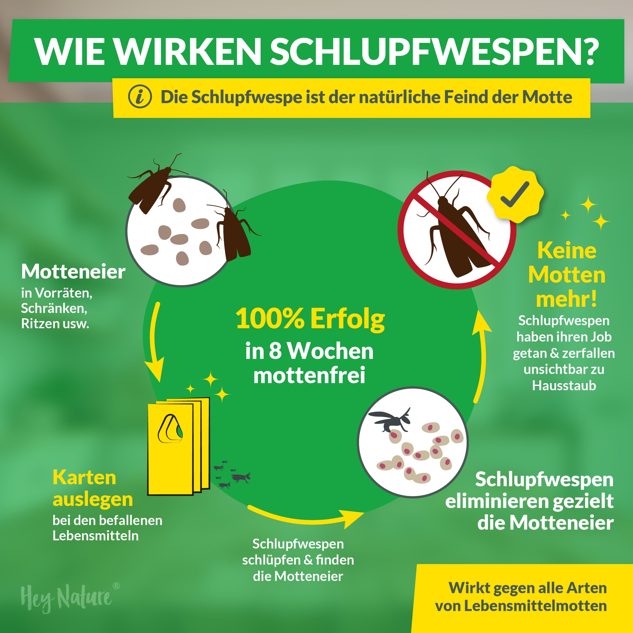 Hey Nature® Schlupfwespen gegen Lebensmittelmotten, 12 Karten (4 Karten à 3 Lieferungen). Effektiv Lebensmittelmotten bekämpfen mit Schlupfwespen gegen Motten. Alternativ zu Mottenkugeln & Mottenspray 3