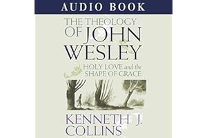 The Theology of John Wesley: Holy Love and the Shape of Grace