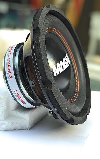magnetz bass tube price