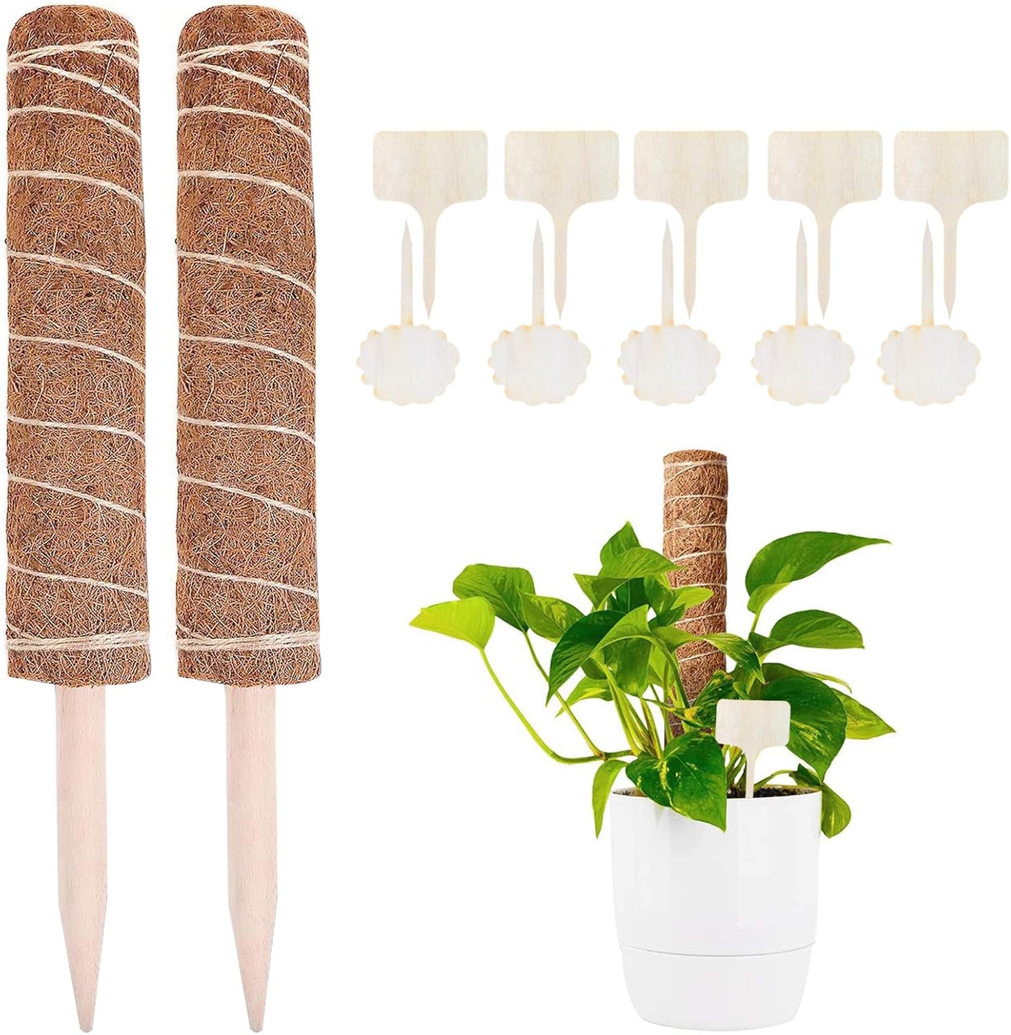 Sunshine smile 2 Pcs Pflanzstab Kokos,Rankstab Rankhilfe Blumenstab mit 10 Holzetiketten für Pflanzenname, Kokosstab Stützpfahl Holz aus Natürlicher Kokosfaser zur Dekoration Verlängerbar