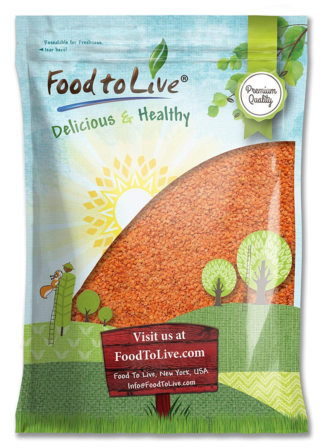 Red Split Lentils by Food to Live (Dry Beans, Raw, Kosher, Bulk) — 15 Pounds