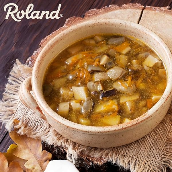 ROLAND FOODS DRIED MIXED WILD MUSHROOMS SPECIALTY IMPORTED FOOD ,16 OUNCE (PACK OF 1)