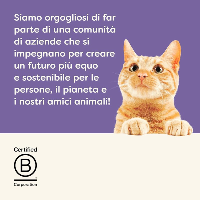 snack cremoso lickable senza cereali 100 % naturale per gatti e gattini, multipack assortito, 32 × 15 g bustine