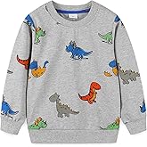 Bumeex Toddler Boy's Kids Crewneck Pullover Sweatshirts 2-7Year