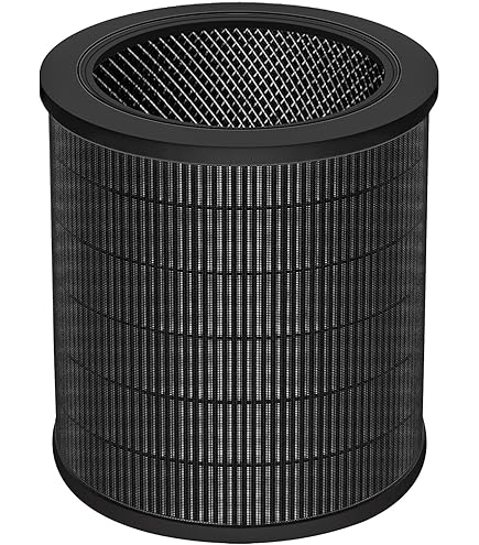 PUREBURG Lot de 2 filtres de rechange compatibles avec les