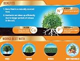 Westland Bonemeal Root Builder 4 kg Natural Fertiliser view 2