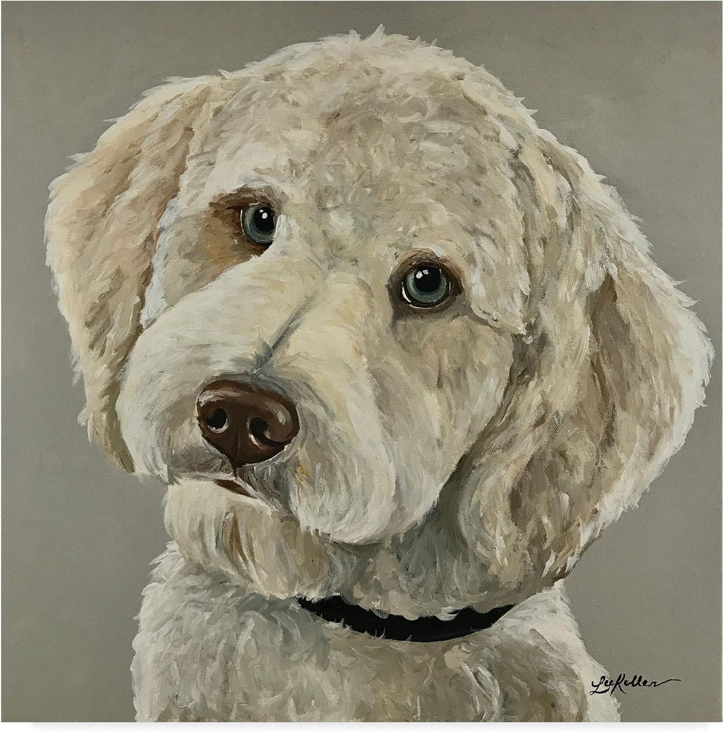 goldendoodle gray
