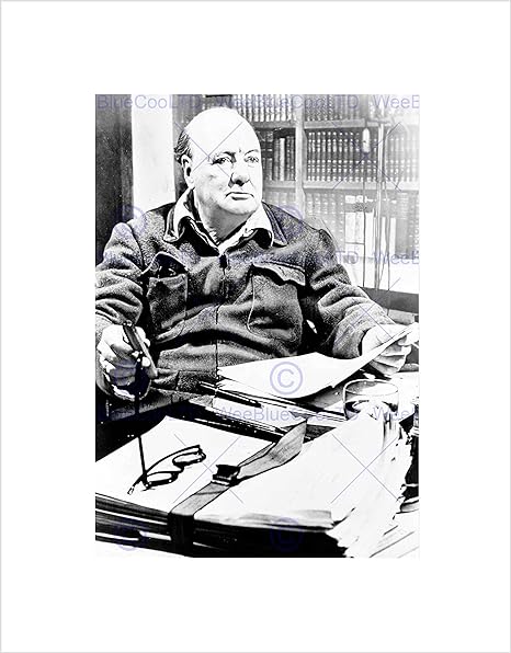 Amazon Com The Art Stop Vintage Portrait Winston Churchill Prime Minister Uk Print B12x Posters Prints