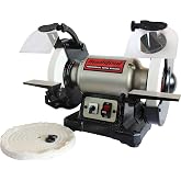BUCKTOOL 8" 1/2HP Dual Speed Bench Grinder Buffer Combo with Cast Iron Base | Low/High Speed Bench Grinder with 1725RPM,3450RPM,80,120 Grit AO Wheels,3X Magnifier,Adjustable Rests for Sharpening
