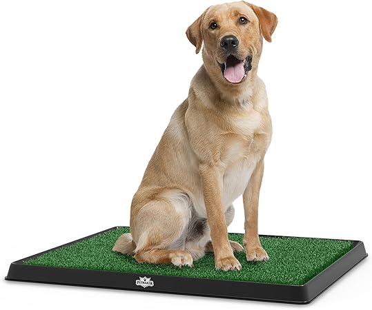 indoor grass pee pad for dogs