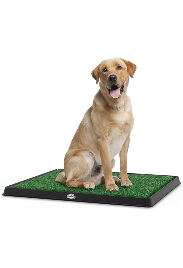automatic potty pad machine