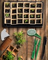 WY8 Seed Trays Starter Kit 100 Biodegradable Pots 3 Trays Crystal Lids view 7