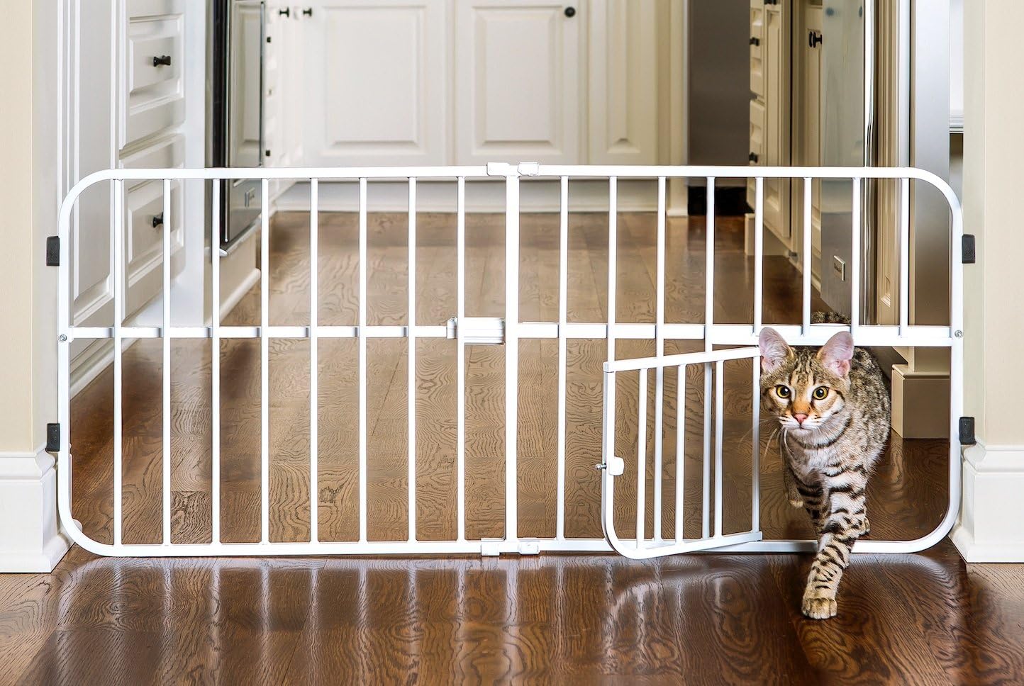 Carlson Lil Tuffy Metal Expandable Gate White, 38 x 1 x 18: Pet Supplies