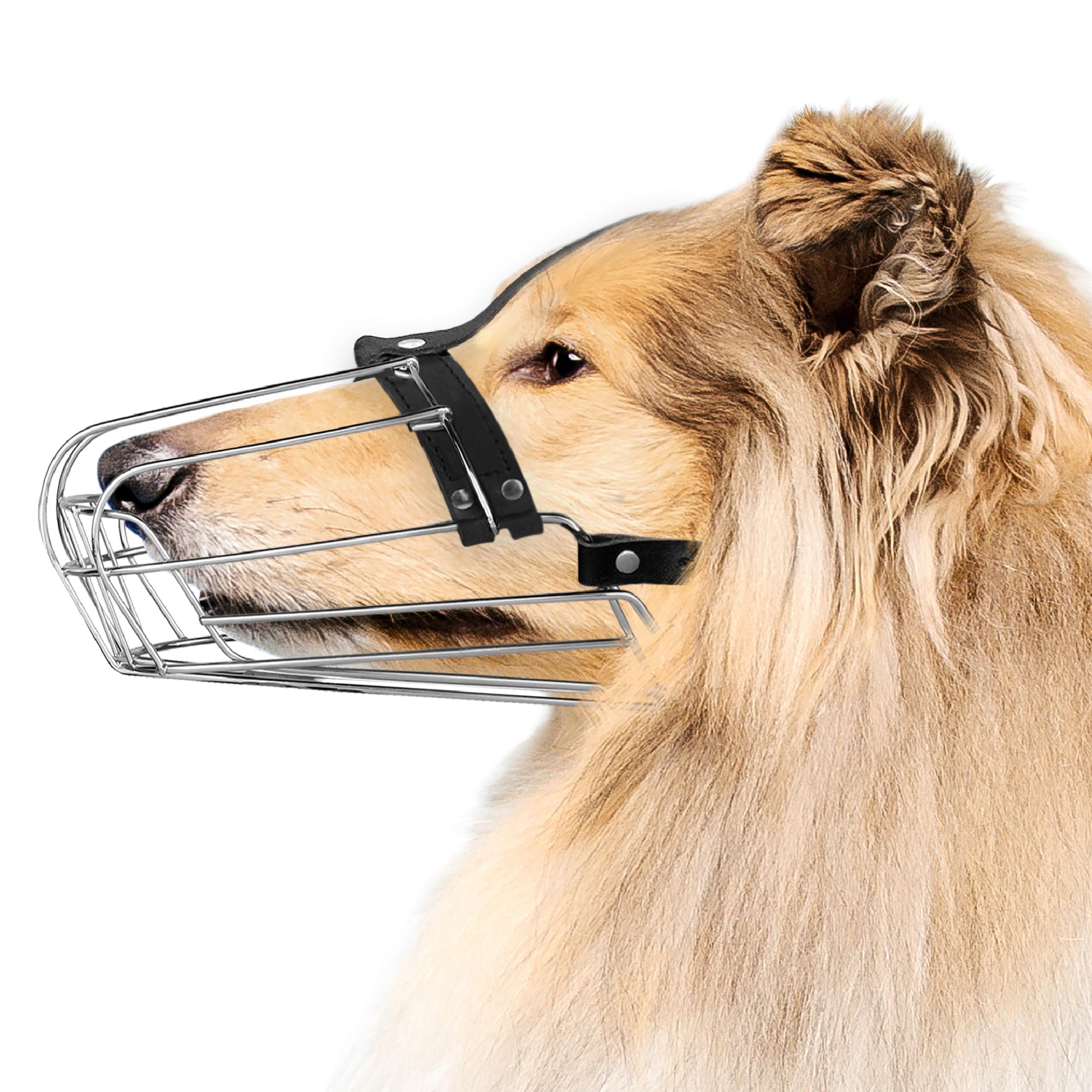 Photo 1 of BRONZEDOG Dog Muzzle Wire Basket Metal Mask for Small, Medium and Large Dogs, Breathable, Dog can Drink, Adjustable, Padded, Training, Prevents Biting (Size 8: Greyhound & Collie)