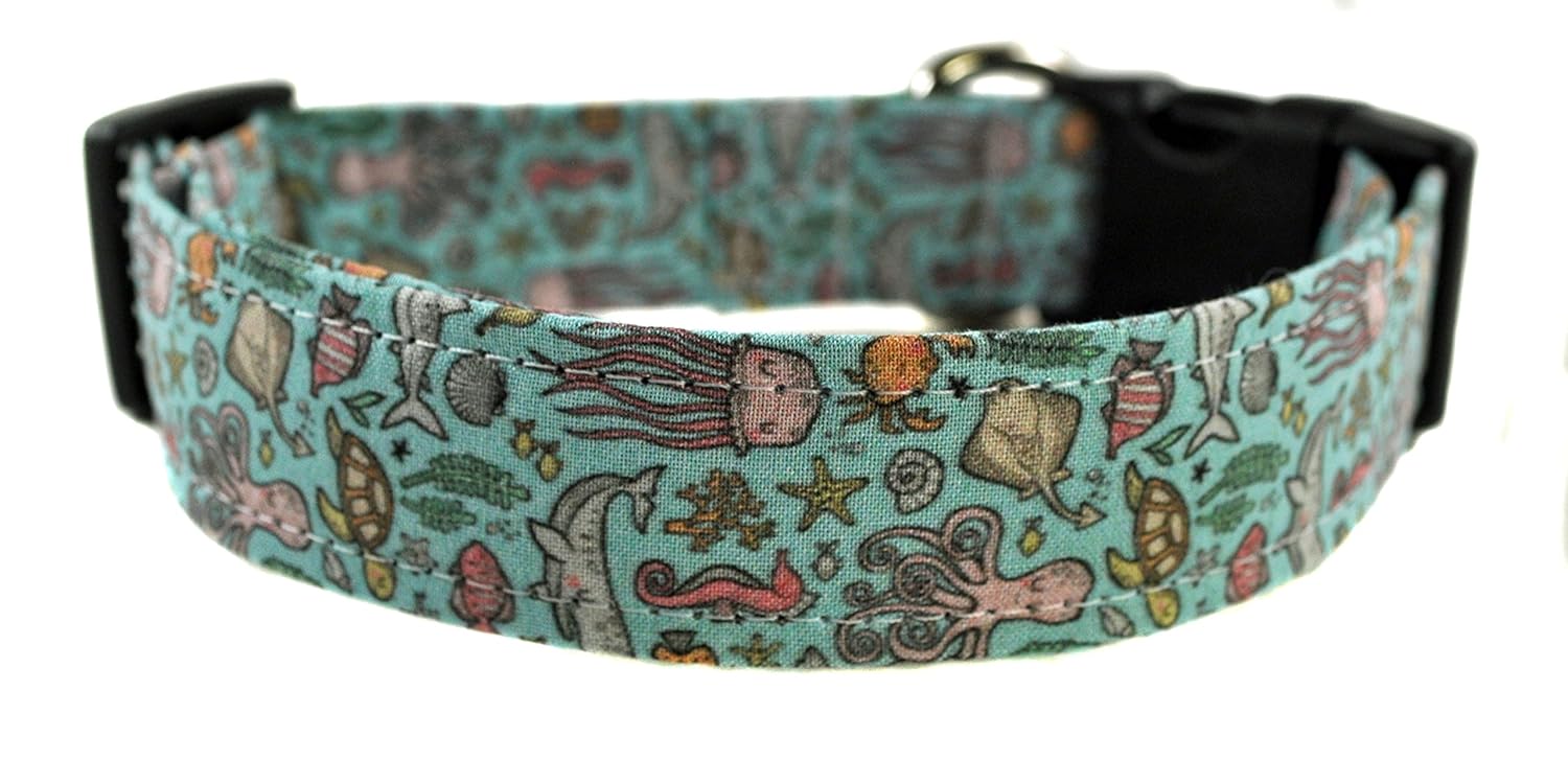 novelty dog collars
