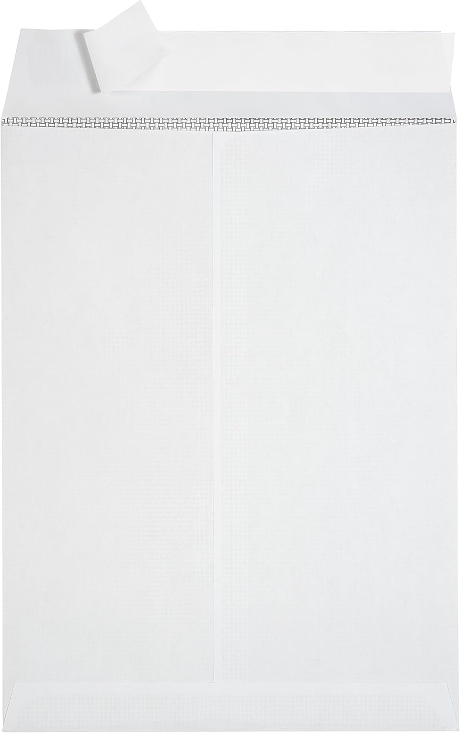 100 9 X 12 Self Seal Security Catalog Envelopes - Designed for Secure Mailing - Securely Holds up to 60 Sheets of Paper with Strong Peel and Seal Flap (100 Envelopes) : Office Products