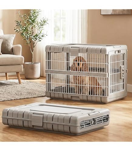 Amazon.com : Midwest iCrate Double Door Dog Crate 36x23x25 : Pet